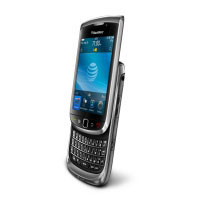 Blackberry Torch 9800 QWERTY (PRD-27603-044)